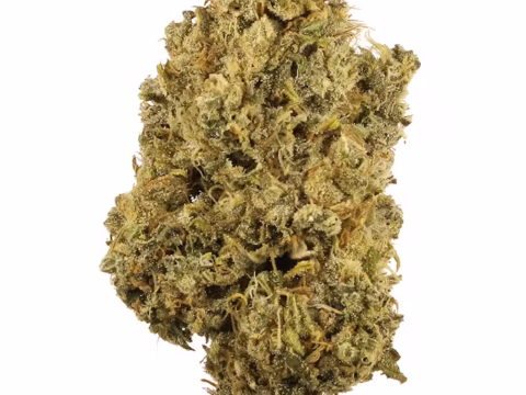 Durban Poison