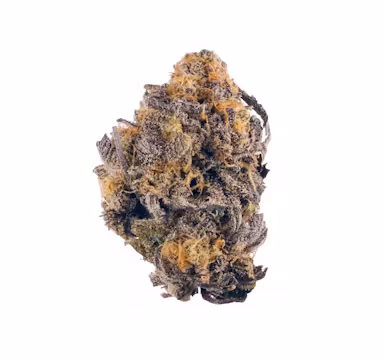 Purple Kush